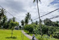 Kondisi tiang dan kabel PLN di RT.005/RW.003, Désa Batu Gajah, Kebupaten Natuna, Kepulauan Riau (Kepri). Foto: Zani/MON