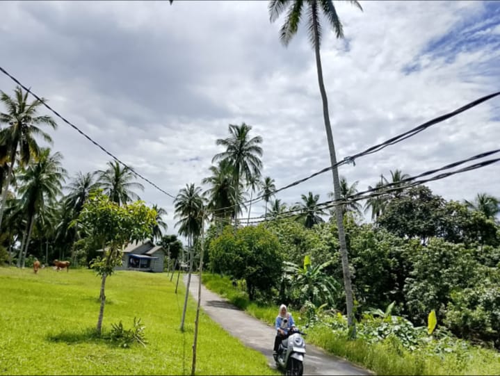 Kondisi tiang dan kabel PLN di RT.005/RW.003, Désa Batu Gajah, Kebupaten Natuna, Kepulauan Riau (Kepri). Foto: Zani/MON