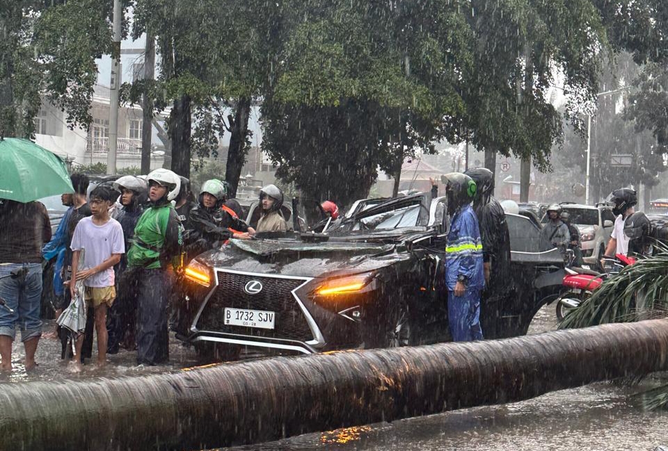 Pohon Tumbang Timpa Lexus di Pondok Indah, Penumpang Tewas