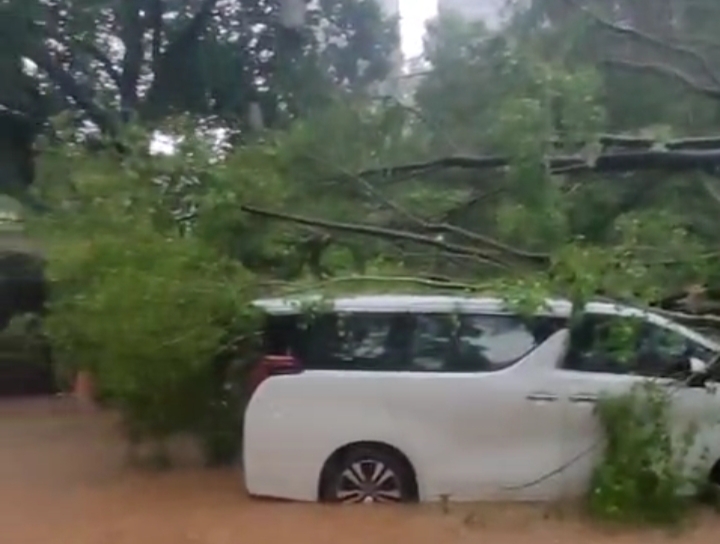 Sejumlah Titik di Jakarta Banjir dan Pohon Tumbang