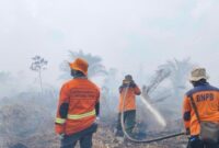 Tim gabungan dari Badan Penanggulangan Bencana Daerah dan Pemadam Kebakaran (BPBD Damkar) Provinsi Riau hingga kini masih terus melakukan upaya pemadaman kebakaran hutan dan lahan (karhutla) di sejumlah wilayah. | Foto: mcr