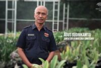 Direktur BUMDESMA Singosari, Agus Sudirikanto, saat berada di area budidaya anggrek milik BUMDESMA Singosari. Di bawah kepemimpinannya, BUMDes ini berhasil menembus pasar ekspor internasional hingga Amerika Serikat dan Taiwan, sekaligus menjadi percontohan pengembangan ekonomi desa berbasis komoditas unggulan.