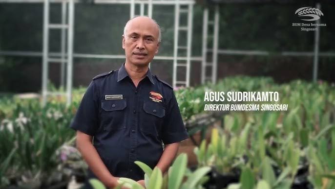 Direktur BUMDESMA Singosari, Agus Sudirikanto, saat berada di area budidaya anggrek milik BUMDESMA Singosari. Di bawah kepemimpinannya, BUMDes ini berhasil menembus pasar ekspor internasional hingga Amerika Serikat dan Taiwan, sekaligus menjadi percontohan pengembangan ekonomi desa berbasis komoditas unggulan.